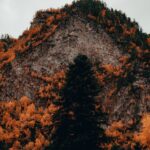 Mountain Landscapes - Stunning autumnal forest against a rocky mountai #10254882