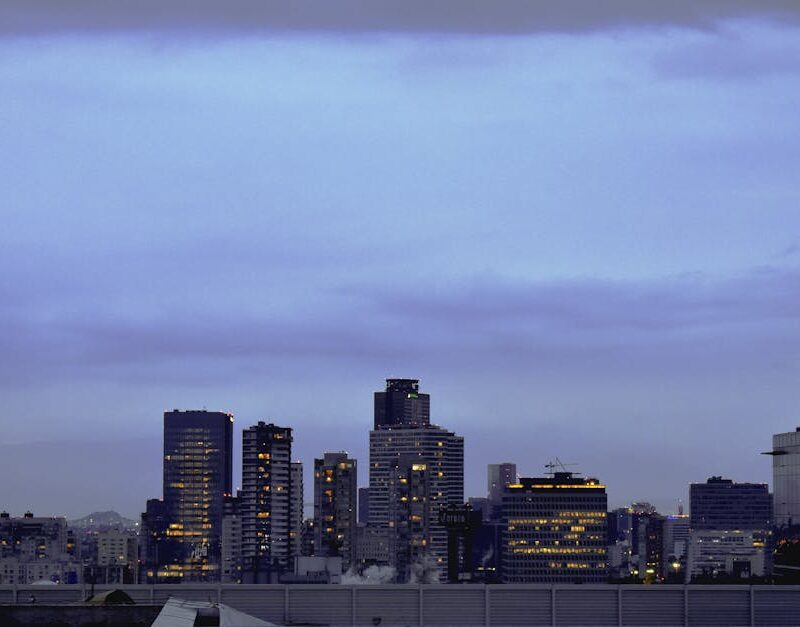 City Architecture - Dramatic view of Mexico City's skyline at twilig #12162896