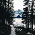 Mountain Landscapes - Discover the serene beauty of a snowy trail amid #36259773