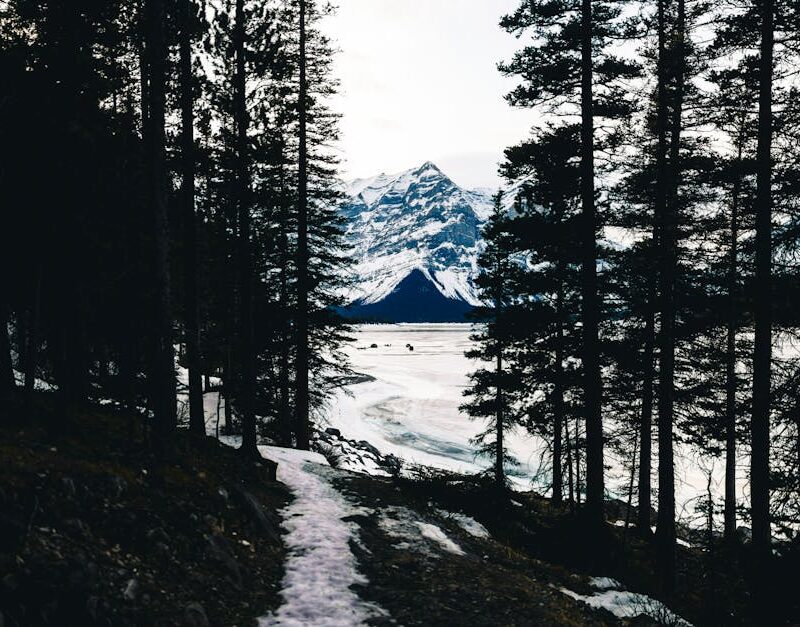 Mountain Landscapes - Discover the serene beauty of a snowy trail amid #36259773