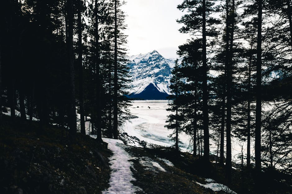 Mountain Landscapes - Discover the serene beauty of a snowy trail amid #36259773