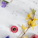 Flowers & Plants - Vibrant flowers arranged on a marble background #4207549