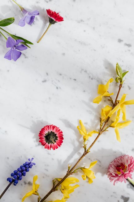 Flowers & Plants - Vibrant flowers arranged on a marble background #4207549