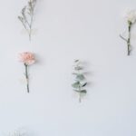 Flowers & Plants - Beautiful minimalist arrangement of assorted flo #6913373