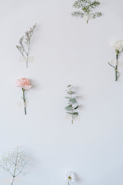 Flowers & Plants - Beautiful minimalist arrangement of assorted flo #6913373